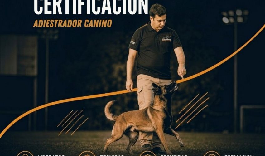 CERTIFICACION ADIESTRADOR CANINO