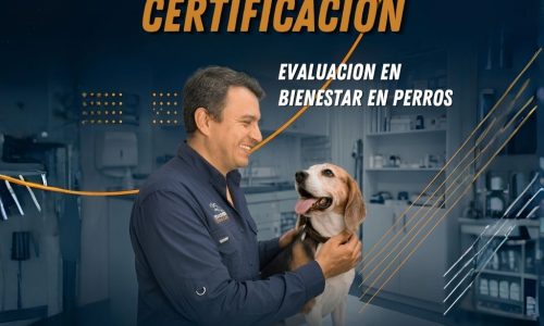 miniatura del curso
