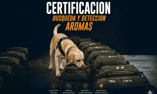 miniatura del curso